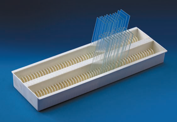 SLIDE DRAINING TRAY – M/S LAB TECH CORPORATION