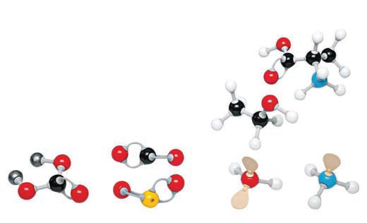 MOLECULAR MODEL SET - INORGANIC / ORGANIC SET - STUDENT - Laboratory Plasticware