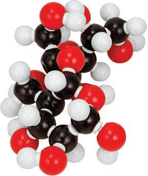 MOLECULAR MODEL SET - SUCROSE (C H O )