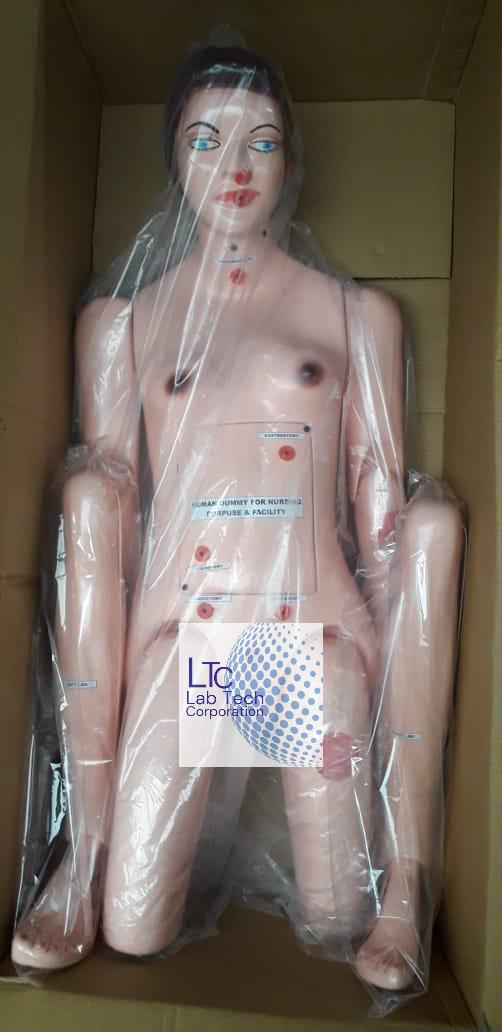 BASIC COMBINATION NURSING MANIKIN