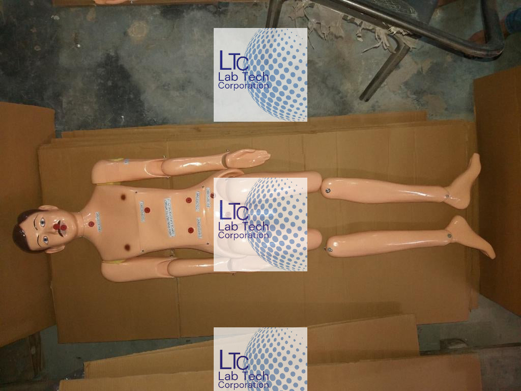 BASIC COMBINATION NURSING MANIKIN