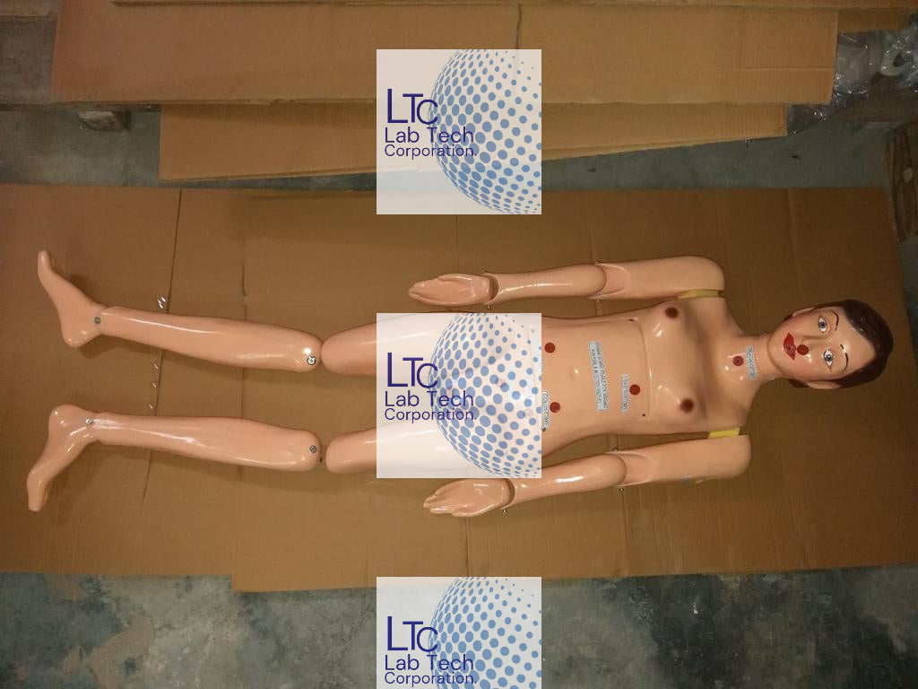 BASIC COMBINATION NURSING MANIKIN