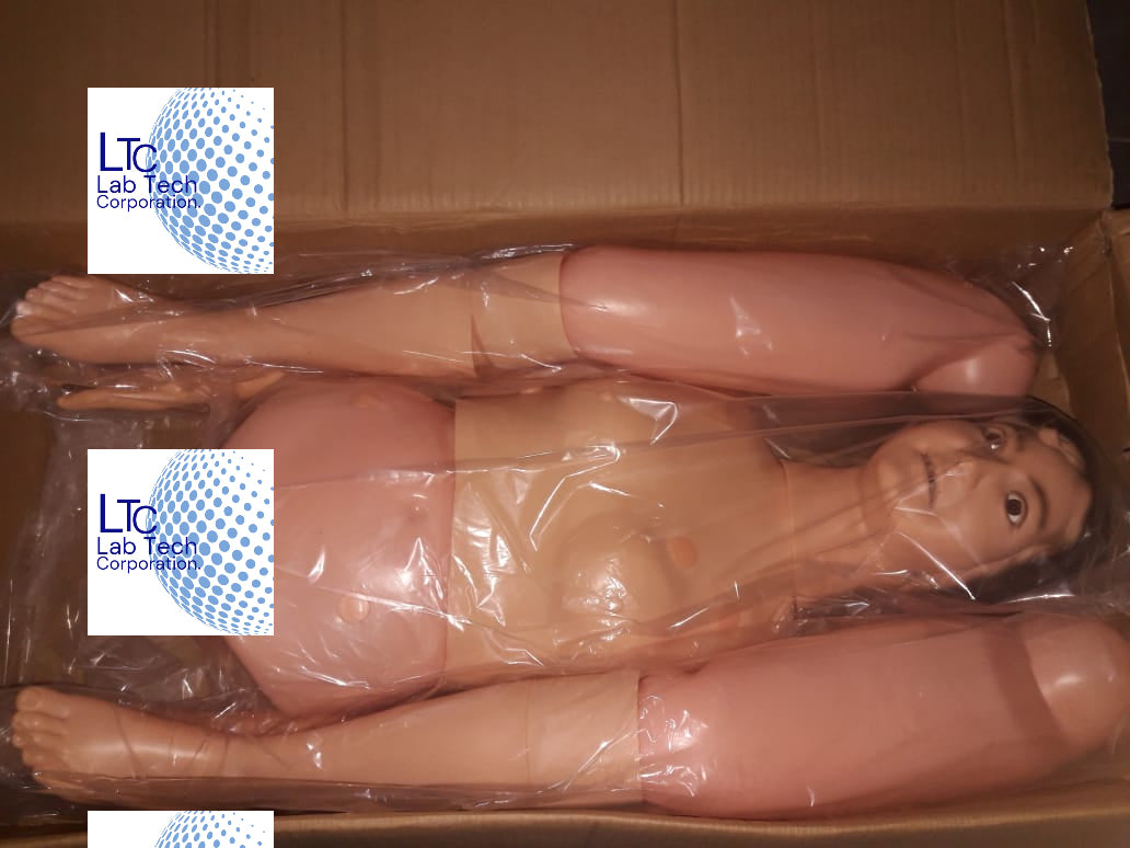 MULTI FUNCTIONAL PATIENT CARE NURSING MANIKIN (FEMALE) / (MALE)