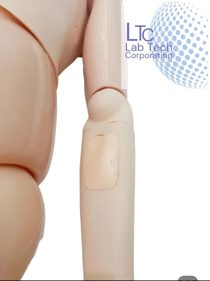 MULTI FUNCTIONAL PATIENT CARE NURSING MANIKIN (FEMALE) / (MALE)