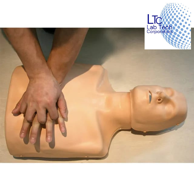 HALF-BODY CPR TRAINING MANIKIN IMPORTED