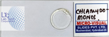 Permanent slides