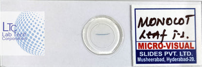 Permanent slides