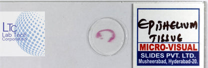 Permanent slides