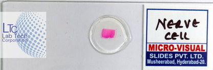 Permanent slides