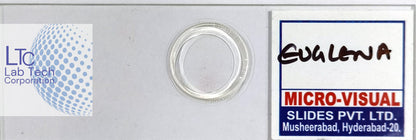 Permanent slides