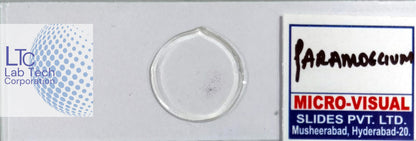 Permanent slides