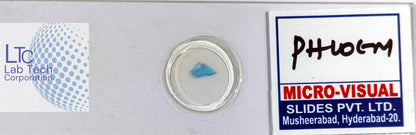 Permanent slides