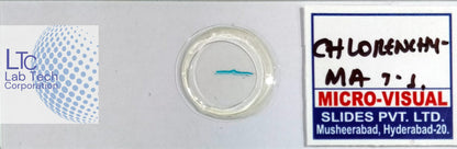 Permanent slides