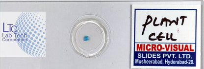 Permanent slides