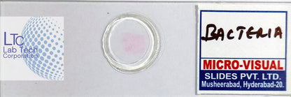 Permanent slides
