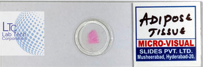 Permanent slides