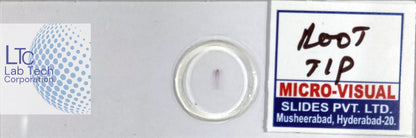 Permanent slides