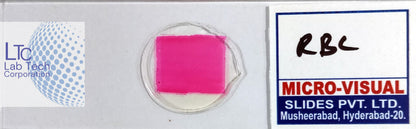 Permanent slides