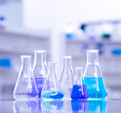 BOROSIL Erlenmeyer (Conical) Flask